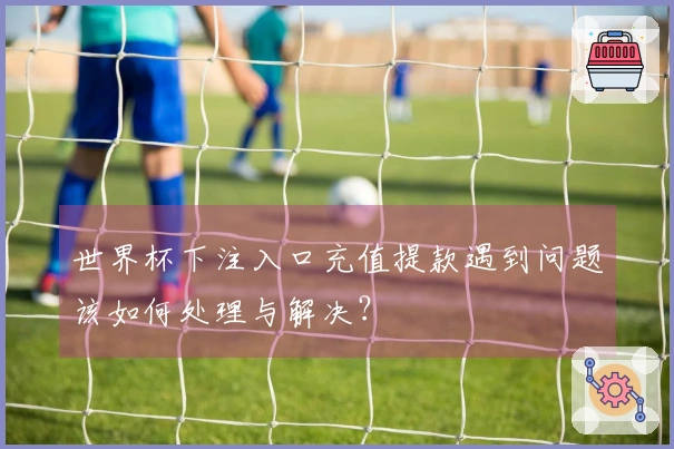 世界杯下注入口充值提款遇到问题该如何处理与解决？