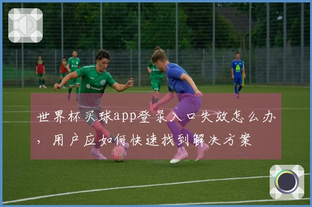 世界杯买球app登录入口失效怎么办，用户应如何快速找到解决方案